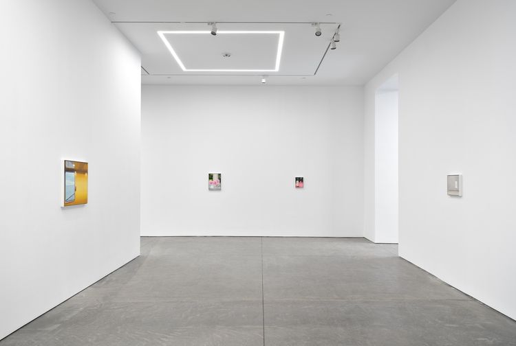 Installation view, Dike Blair, Karma, 549 West 26th Street · 2026 (18)