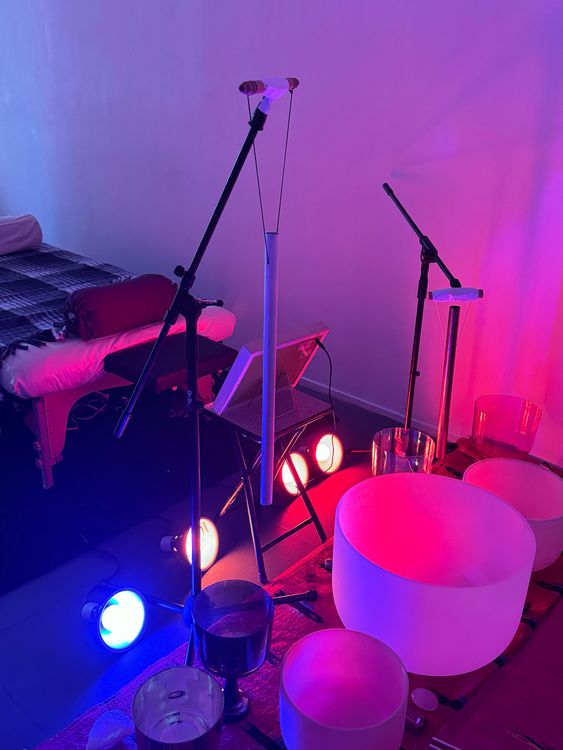 Installation view, Ivy Meadows Sound & Light Healing, Essex Flowers