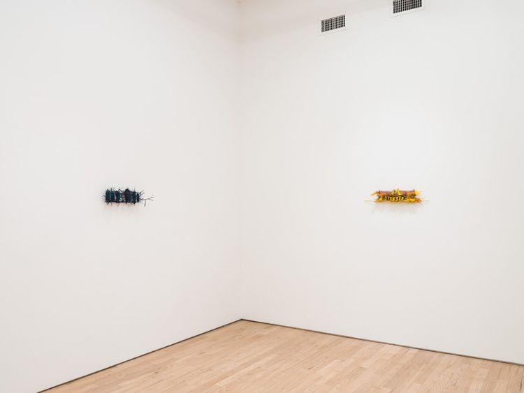 Installation view, Leech, Nicelle Beauchene · 2026 (3)