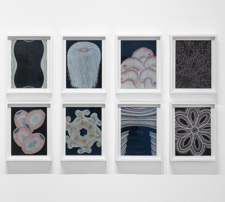 Installation view, The Black Drawings, Robilant + Voena · 2025 (6)