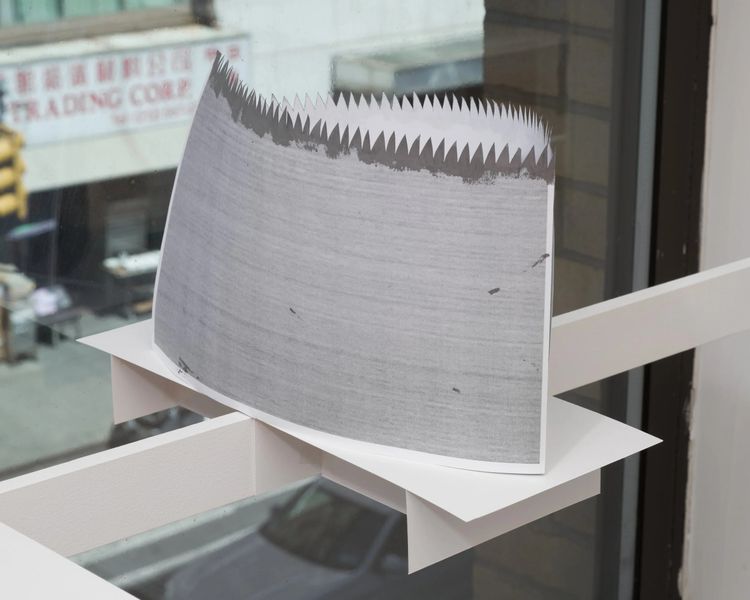 Installation view, Meio Aqui, David Peter Francis · 2025 (9)