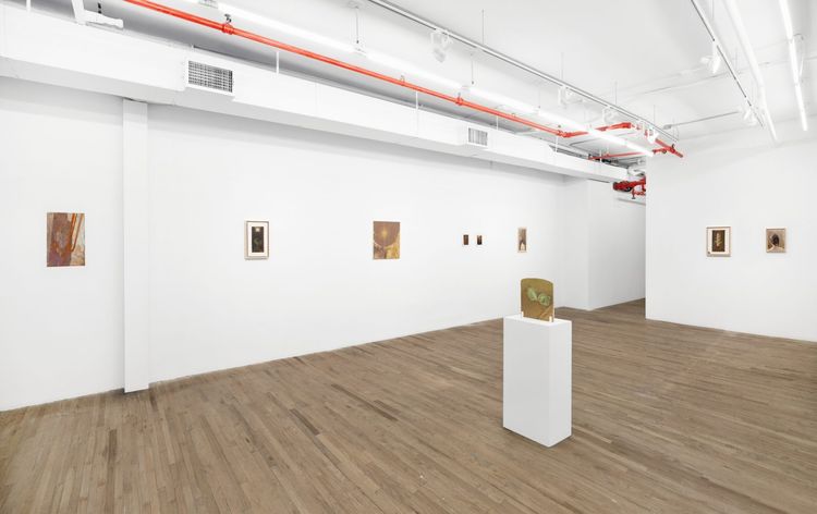 Installation view, Now, Kaufmann Repetto · 2025 (1)