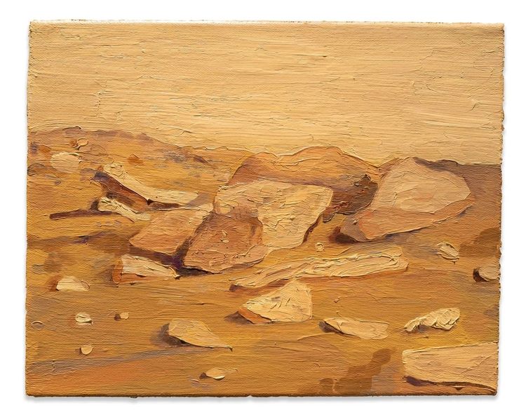 Installation view, to mars, to explore, Rusha & Co. · 2026 (6)