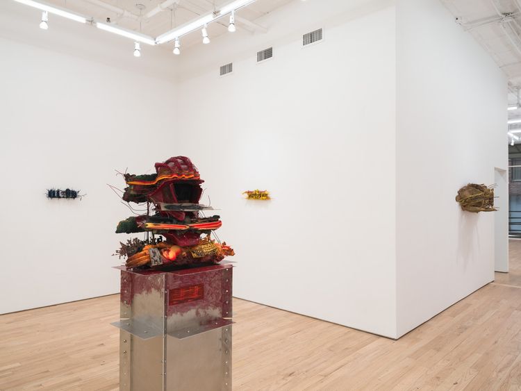 Installation view, Leech, Nicelle Beauchene · 2026 (7)