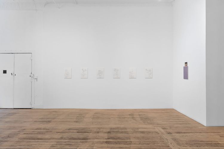 Installation view, Drawings and Paintings, Bortolami, 39 Walker · 2026 (6)