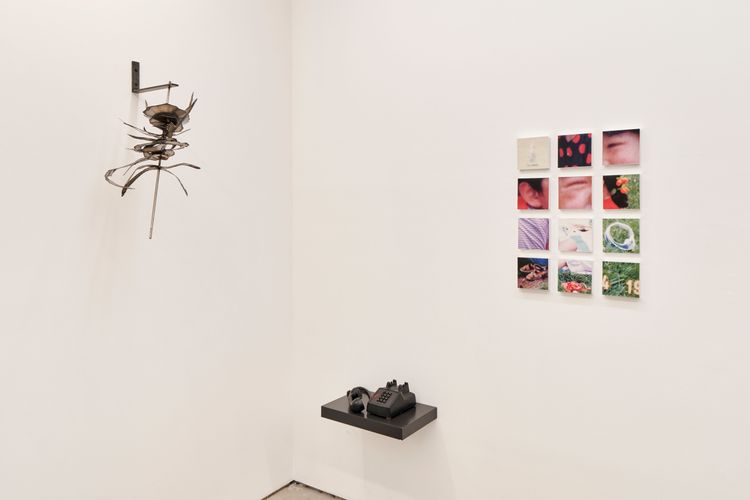 Installation view, Treading Water, Blade Study · 2025 (13)