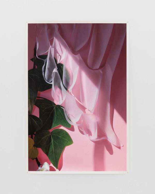 Installation view, I Capture the Castle, Chris Sharp · 2025 (11)