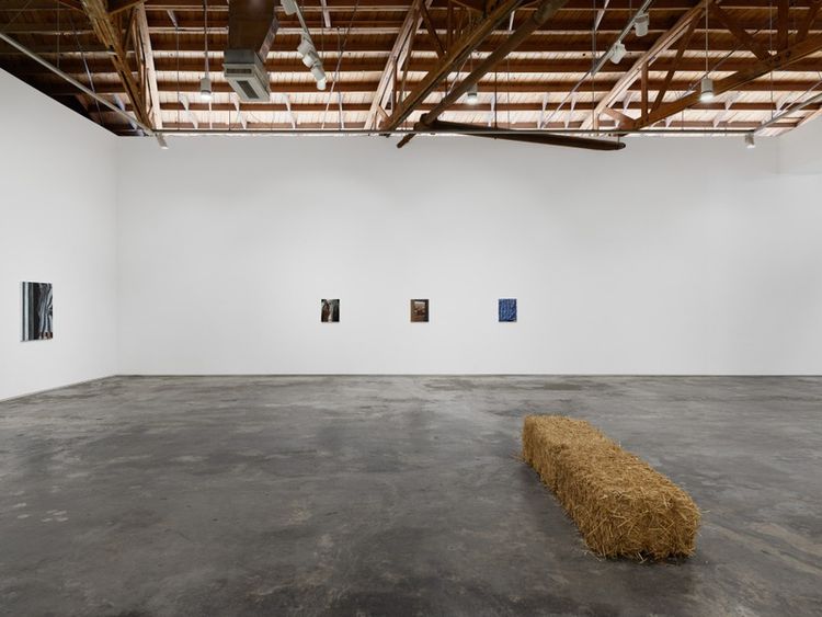 Installation view, Happy Trails, Night Gallery · 2026 (3)