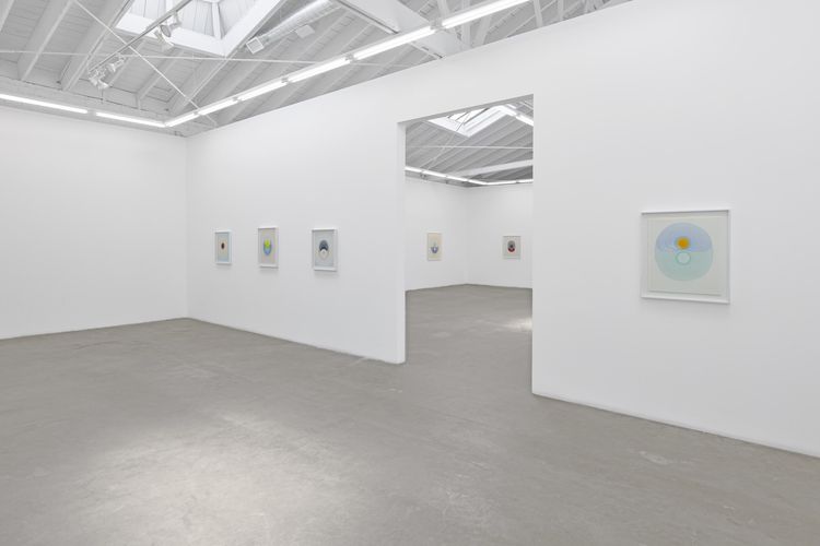 Installation view, The Drops, Luis De Jesus Los Angeles · 2026 (13)