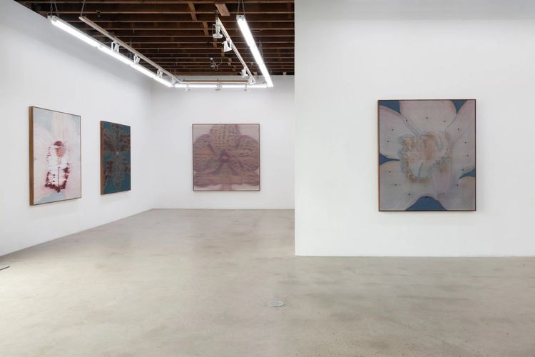 Installation view, Mineral Meridian, Carvalho, 112 Waterbury · 2026 (4)