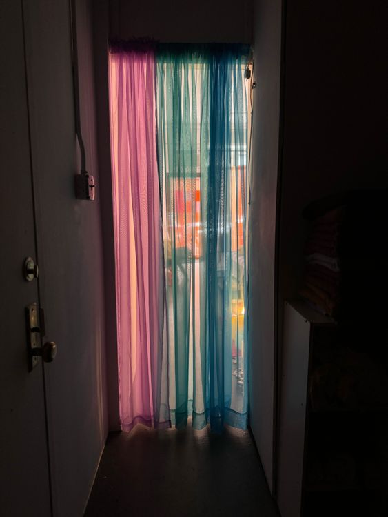Installation view, Ivy Meadows Sound & Light Healing, Essex Flowers · 2025 (6)
