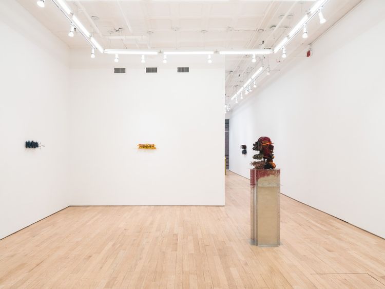 Installation view, Leech, Nicelle Beauchene · 2026 (4)
