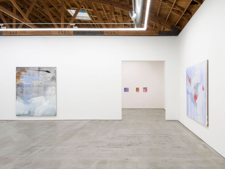 Installation view, Aragonite and conchiolin, Château Shatto · 2026 (5)