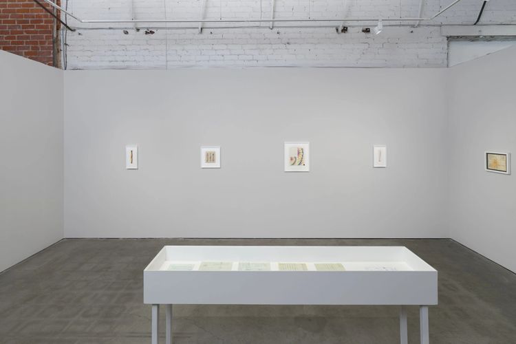 Installation view, Evolving Systems, François Ghebaly · 2025 (13)