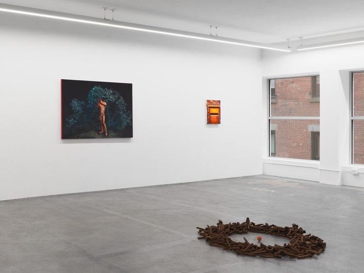 Installation view, Solastalgia, Anat Ebgi · 2026 (4)