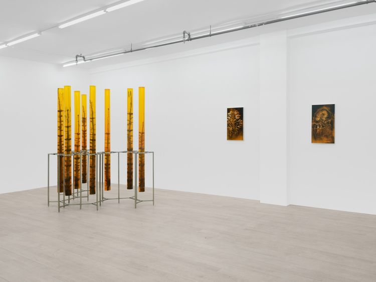 Installation view, Außerkörperliche Erfahrung: Wandering Spirit, Management · 2026 (3)