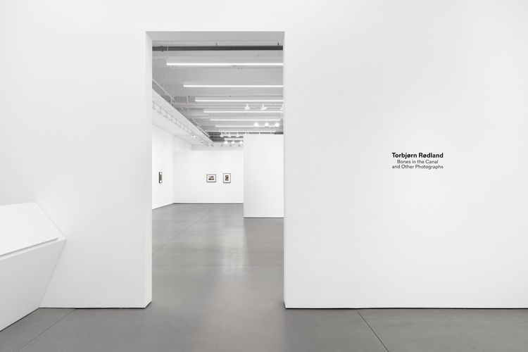 Installation view, Bones in the Canal and Other Photographs, David Kordansky Gallery, Chelsea · 2026 (5)