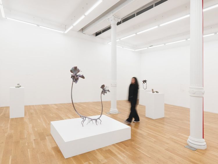 Installation view, Alien Spring, Nicodim · 2025 (15)