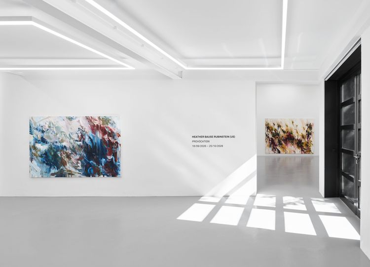 Installation view, Provocation, Ruttkowski;68