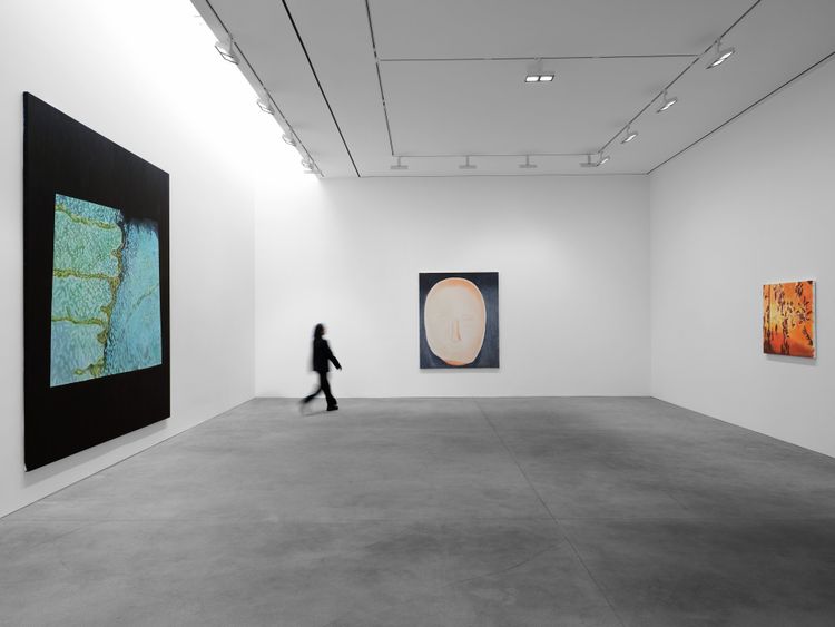 Installation view, The Fruit Basket, David Zwirner · 2026 (7)