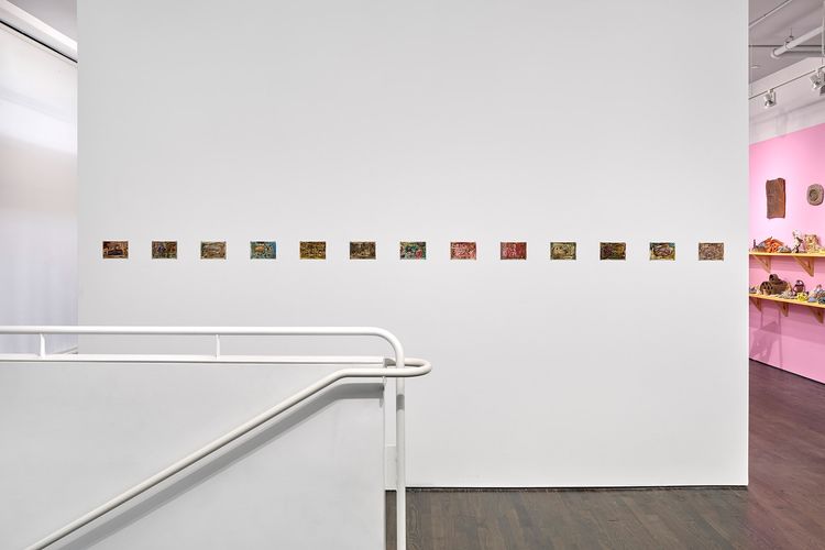 Installation view, Ama Birch, White Columns · 2025 (1)