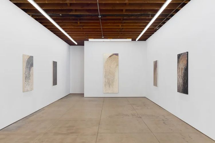 Installation view, Sleeves, Wilding Cran Gallery · 2026 (1)