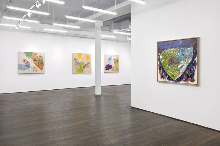 Installation view, Goran Medak, White Columns · 2026 (8)