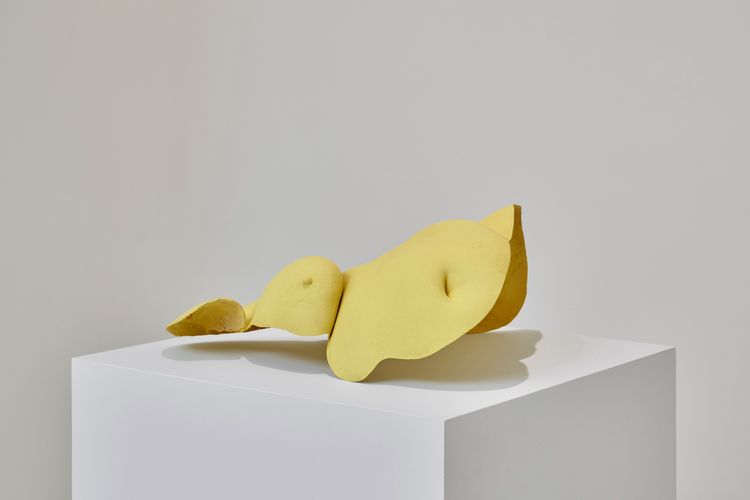 Installation view, Sarsabzi سرسبزی, Hannah Traore Gallery · 2025 (3)