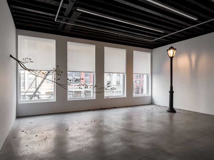 Installation view, Prelude, Marian Goodman, New York