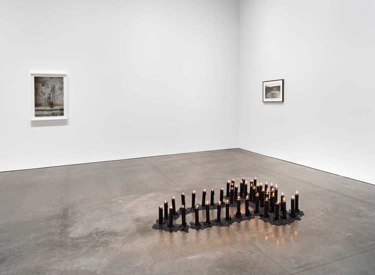Installation view, Back to the Source, Marian Goodman, New York · 2025 (4)