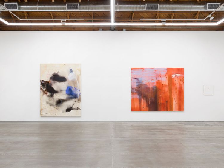 Installation view, Aragonite and conchiolin, Château Shatto · 2026 (8)