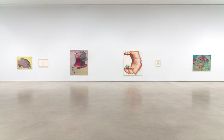 Installation view, Maria Lassnig, Petzel Gallery · 2026 (2)