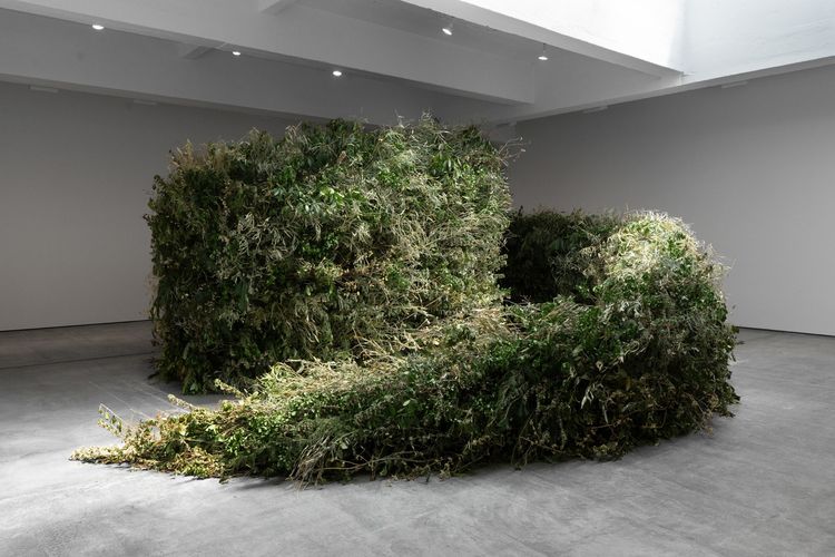 Installation view, Thicket, Paula Cooper, 521 W 21st Street · 2026 (2)