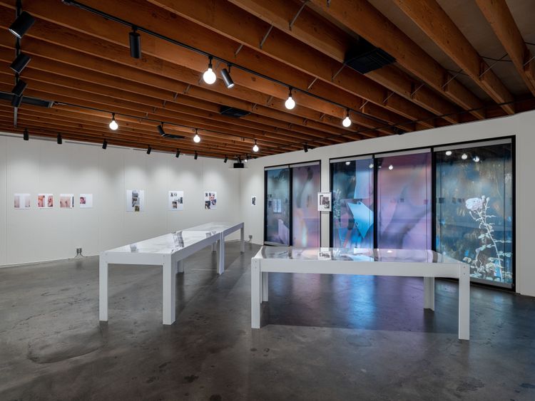 Installation view, Excerpts & Fragments, Los Angeles Nomadic Division · 2025 (5)