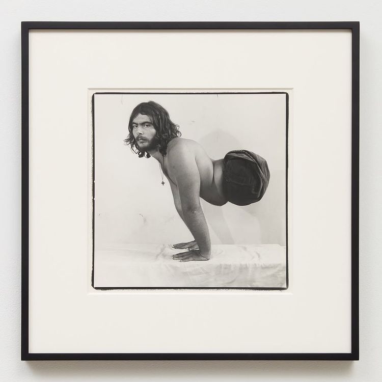 Installation view, Family Album, Gratin