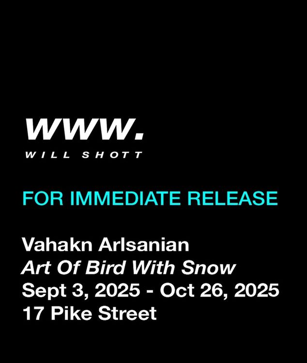 Installation view, Art Of Bird With Snow, Will Shott