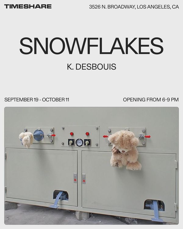 Installation view, Snowflakes, Timeshare