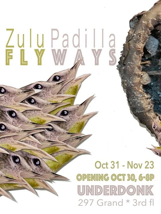 Installation view, Flyways, Underdonk