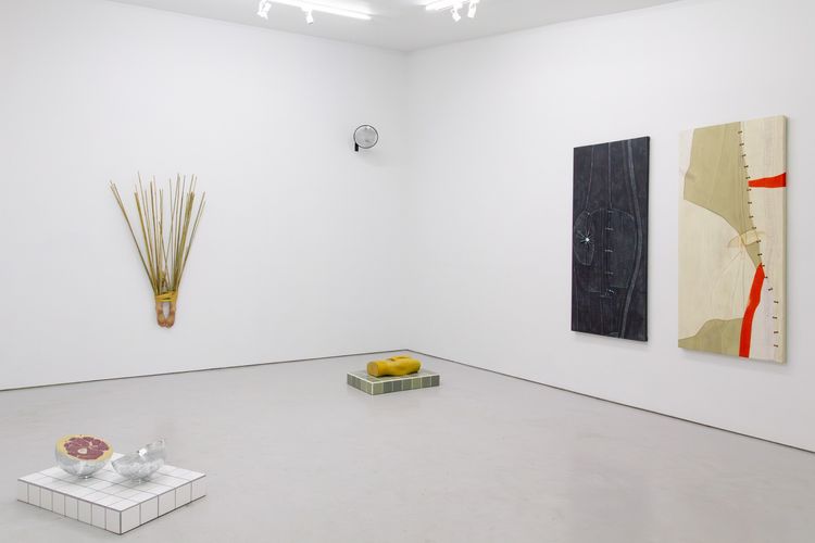 Installation view, I Want to Know, I Need to Know, Eli Klein · 2026 (1)