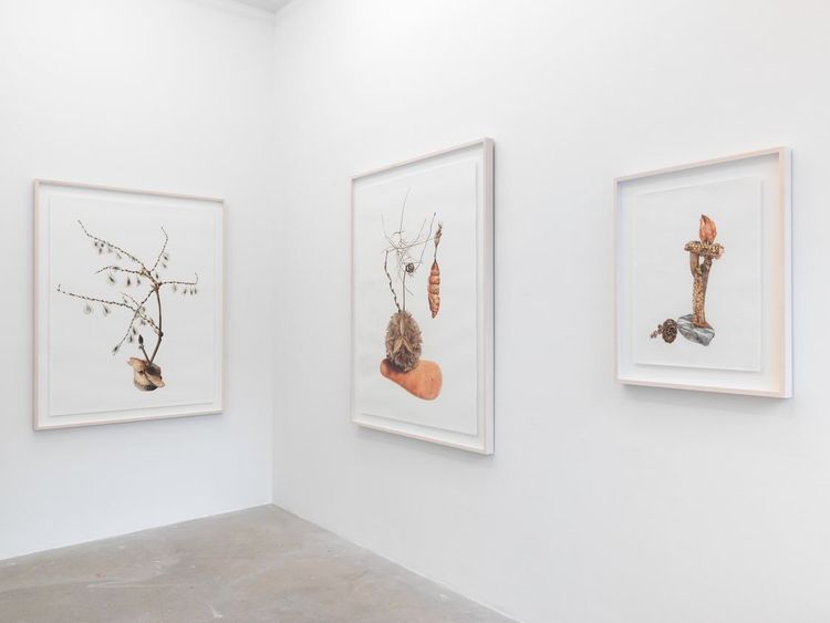 Installation view, I wish dying could be more like this. 但愿死像这样。, 56 Henry, 105 Henry Street · 2026 (3)