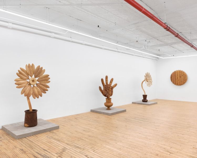 Installation view, Between Roots, Gaa Gallery · 2026 (5)