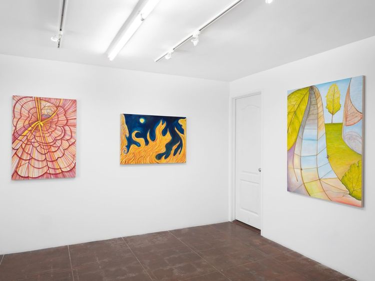 Installation view, Unexplained Phenomenon, As-Is Gallery