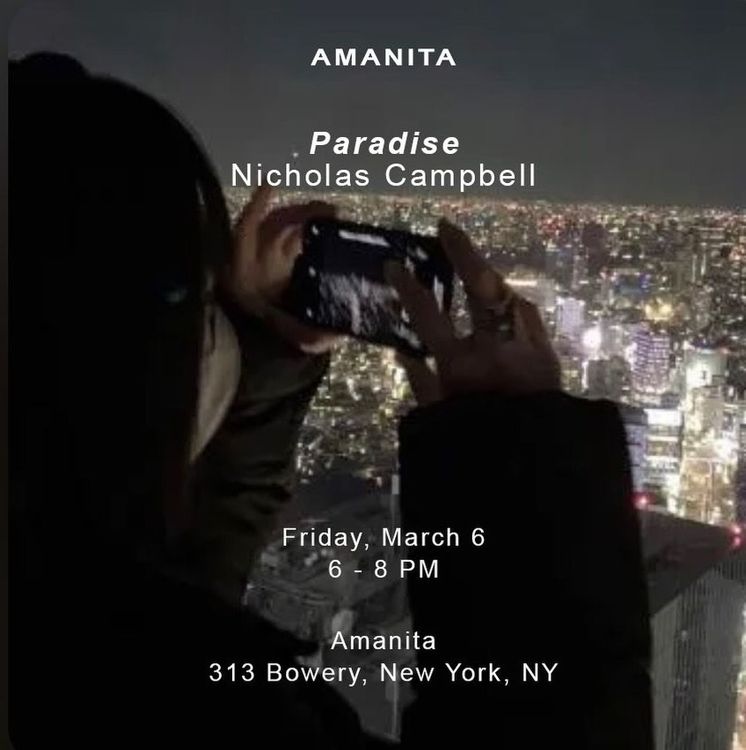 Installation view, Paradise, Amanita, Bowery
