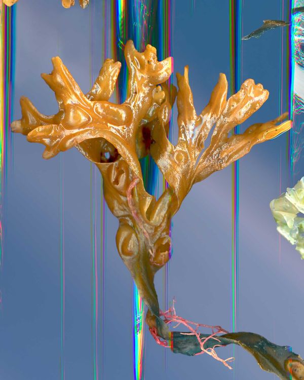 Installation view, Riis Beach: In Reverberation, Nars Foundation