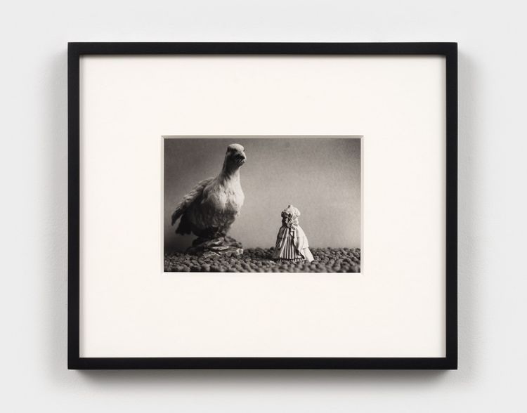 Installation view, From Out of Space, Paula Cooper, 521 W 21st Street