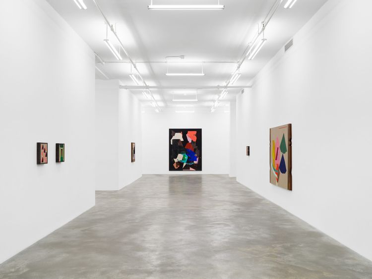 Installation view, A Light Left On In the Hallway, Casey Kaplan · 2026 (5)