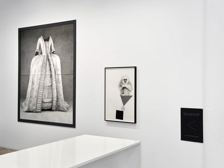 Installation view, Glass half, Vielmetter · 2026 (12)