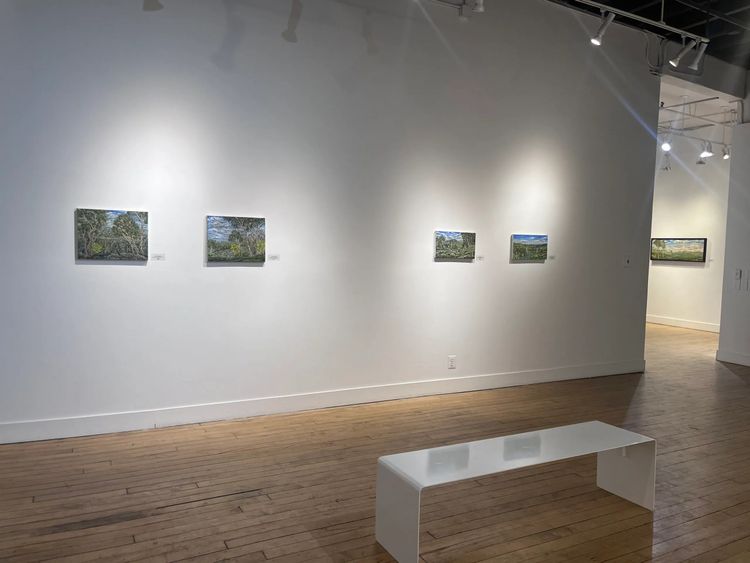 Installation view, Place: Landscape Paintings of Australia & Japan, Noho M55 Gallery · 2026 (1)