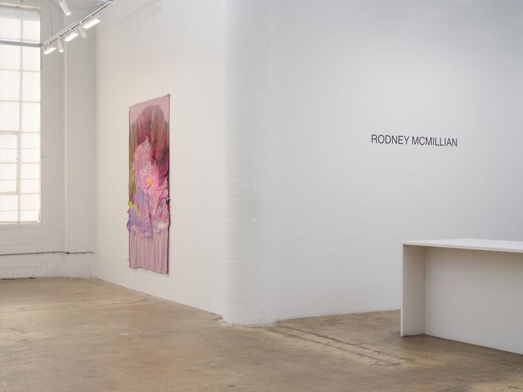 Installation view, Some lives in the sunshine, Vielmetter · 2026 (2)