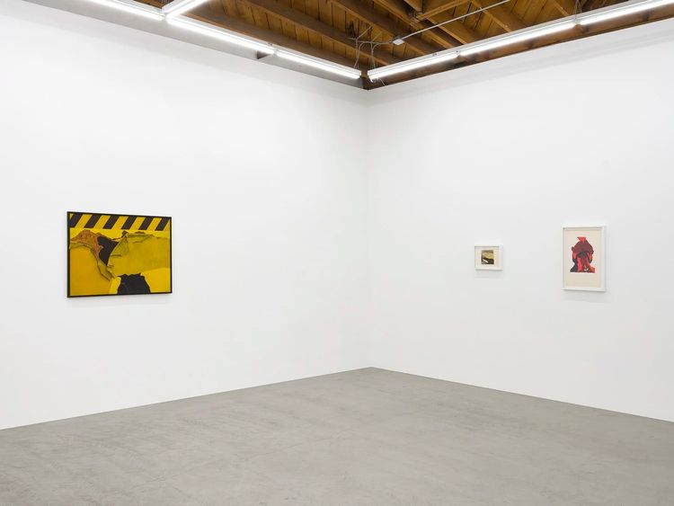 Installation view, L.A. Times, Parrasch Heijnen Gallery · 2026 (5)